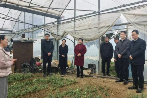 145949-354204.jpg 145949-354204.jpg